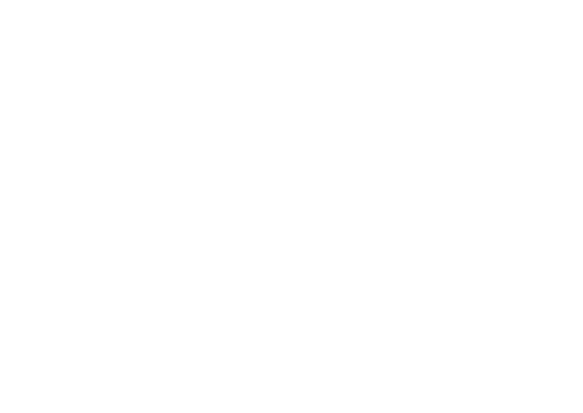 Reasonix Logo